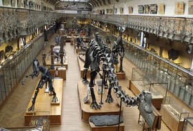 National Museum of Natural History, France car parks in Paris - Book at the best price