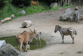 Parcheggi Zoo de Lille a Lille - Prenota al miglior prezzo
