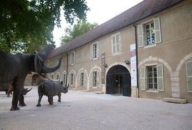 Parkings Muséum d'Histoire Naturelle à Dijon - Réservez au meilleur prix