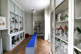 Parkings Muséum des Sciences Naturelles à Angers - Réservez au meilleur prix